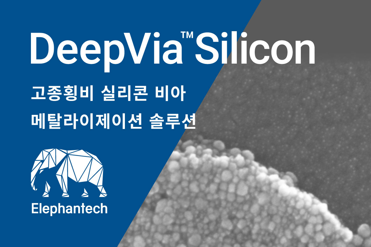 DeepVia™ Silicon
