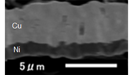 Niインクをバーコート塗布し無電解Cuめっきで積層したサンプルの断面